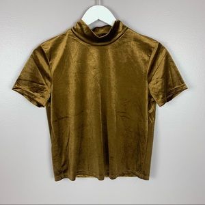 Zara Velour Mock Neck Crop Top Medium